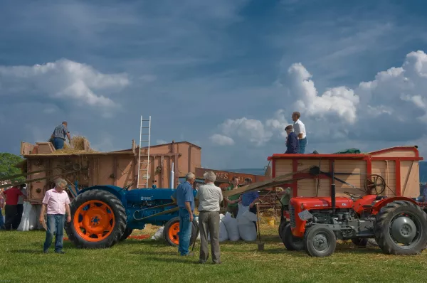 На Нижегородской ярмарке представили современную сельхозтехнику и лучшую продукцию агропредприятий